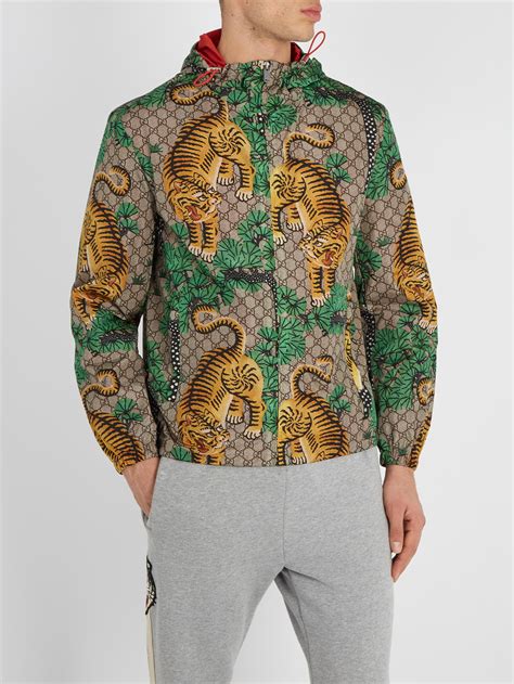 bengal tiger print jacket gucci|gucci tiger jacket.